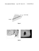 PROCEDURE FOR THE DETERMINATION OF EFFECTIVE AND TOTAL POROSITY OF     CARBONATED SEDIMENTARY ROCKS, AND MORPHOLOGY CHARACTERIZATION OF THEIR     MICRO AND NANOPORES diagram and image