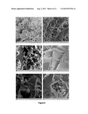 PROCEDURE FOR THE DETERMINATION OF EFFECTIVE AND TOTAL POROSITY OF     CARBONATED SEDIMENTARY ROCKS, AND MORPHOLOGY CHARACTERIZATION OF THEIR     MICRO AND NANOPORES diagram and image