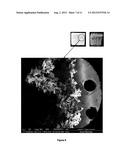 PROCEDURE FOR THE DETERMINATION OF EFFECTIVE AND TOTAL POROSITY OF     CARBONATED SEDIMENTARY ROCKS, AND MORPHOLOGY CHARACTERIZATION OF THEIR     MICRO AND NANOPORES diagram and image