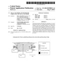 METAL LOSS PROBE AND METHOD FOR FABRICATING THE METAL LOSS PROBE diagram and image