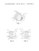 SEGMENTING SLUG diagram and image