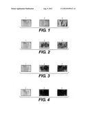 BIODEGRADABLE COMPOSITES diagram and image