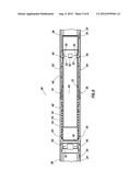 RESETTABLE PRESSURE CYCLE-OPERATED PRODUCTION VALVE AND METHOD diagram and image