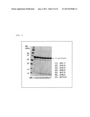 ELECTROPHORETIC ANALYSIS METHOD diagram and image