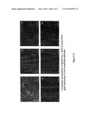 HIGH-pH SYNTHESIS OF NANOCOMPOSITE THERMOELECTRIC MATERIAL diagram and image