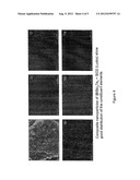 HIGH-pH SYNTHESIS OF NANOCOMPOSITE THERMOELECTRIC MATERIAL diagram and image