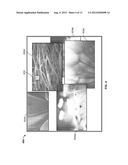 Motion Tracking User Interface diagram and image