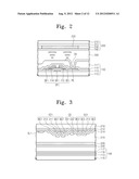 Display Device with Display Panel Having Sensors Therein diagram and image