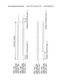 IMAGE PROCESSING APPARATUS, IMAGE PROCESSING METHOD AND SCHEDULING     APPARATUS diagram and image