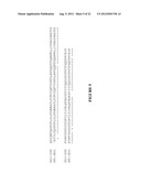 PLASMA KALLIKREIN BINDING PROTEINS diagram and image