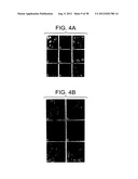 T. CRUZI-DERIVED NEUROTROPHIC AGENTS AND METHODS OF USE THEREFOR diagram and image