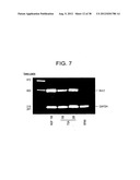 T. CRUZI-DERIVED NEUROTROPHIC AGENTS AND METHODS OF USE THEREFOR diagram and image