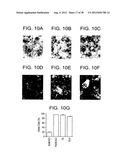 T. CRUZI-DERIVED NEUROTROPHIC AGENTS AND METHODS OF USE THEREFOR diagram and image