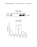 T. CRUZI-DERIVED NEUROTROPHIC AGENTS AND METHODS OF USE THEREFOR diagram and image