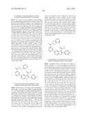 COMPOUNDS FOR THE TREATMENT OF HEPATITIS C diagram and image