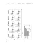 DUAL VECTOR FOR INHIBITION OF HUMAN IMMUNODEFICIENCY VIRUS diagram and image