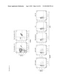 DUAL VECTOR FOR INHIBITION OF HUMAN IMMUNODEFICIENCY VIRUS diagram and image