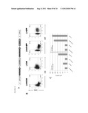DUAL VECTOR FOR INHIBITION OF HUMAN IMMUNODEFICIENCY VIRUS diagram and image