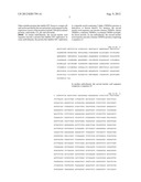 DUAL VECTOR FOR INHIBITION OF HUMAN IMMUNODEFICIENCY VIRUS diagram and image