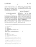 DUAL VECTOR FOR INHIBITION OF HUMAN IMMUNODEFICIENCY VIRUS diagram and image