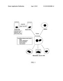 Stem Cell Fusion Model of Carcinogenesis diagram and image