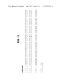 MULTIFUNCTIONAL ANTIBODY CONJUGATES diagram and image