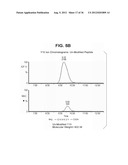 MULTIFUNCTIONAL ANTIBODY CONJUGATES diagram and image