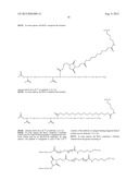 MULTIFUNCTIONAL ANTIBODY CONJUGATES diagram and image