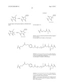 MULTIFUNCTIONAL ANTIBODY CONJUGATES diagram and image