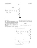 MULTIFUNCTIONAL ANTIBODY CONJUGATES diagram and image