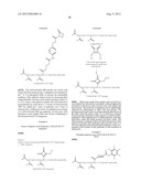 MULTIFUNCTIONAL ANTIBODY CONJUGATES diagram and image