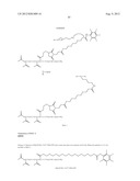 MULTIFUNCTIONAL ANTIBODY CONJUGATES diagram and image