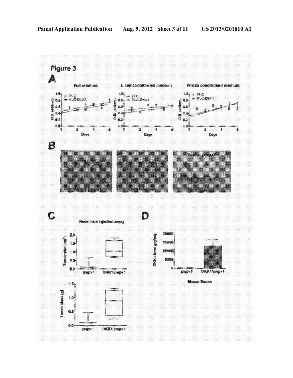 Use of Anti-DKK-1 Monoclonal Antibodies for the Treatment of Liver Cancer - diagram, schematic, and image 04