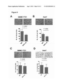 Use of Anti-DKK-1 Monoclonal Antibodies for the Treatment of Liver Cancer diagram and image