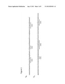 GENERATION AND USE OF FAB, SCFV, AND RELATED BINDING MOLECULES SPECIFIC     FOR HIV-1 REV diagram and image