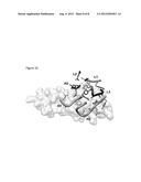 GENERATION AND USE OF FAB, SCFV, AND RELATED BINDING MOLECULES SPECIFIC     FOR HIV-1 REV diagram and image