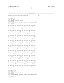 GENERATION AND USE OF FAB, SCFV, AND RELATED BINDING MOLECULES SPECIFIC     FOR HIV-1 REV diagram and image