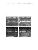 STABLE FORMULATIONS OF POLYPEPTIDES AND USES THEREOF diagram and image