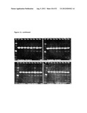 STABLE FORMULATIONS OF POLYPEPTIDES AND USES THEREOF diagram and image