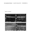 STABLE FORMULATIONS OF POLYPEPTIDES AND USES THEREOF diagram and image