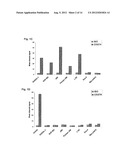 Compositions and Methods for Inhibiting an Oncogenic Protein to Enhance     Immunogenicity diagram and image