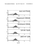 Compositions and Methods for Inhibiting an Oncogenic Protein to Enhance     Immunogenicity diagram and image