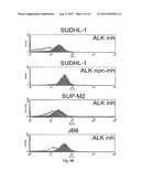 Compositions and Methods for Inhibiting an Oncogenic Protein to Enhance     Immunogenicity diagram and image