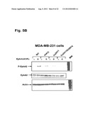 ANTIBODIES THAT SPECIFICALLY BIND TO THE EPHA2 RECEPTOR diagram and image