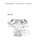 ANTIBODIES THAT SPECIFICALLY BIND TO THE EPHA2 RECEPTOR diagram and image