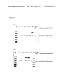 Human Monoclonal Antibody Against S. Aureus Derived Alpha-Toxin and Its     Use in Treating or Preventing Abscess Formation diagram and image