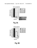 BIOLOGICAL MARKERS PREDICTIVE OF ANTI-CANCER RESPONSE TO INSULIN-LIKE     GROWTH FACTOR-1 RECEPTOR KINASE INHIBITORS diagram and image