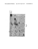 POLY-N-ACETYL GLUCOSAMINE (PNAG/dPNAG)-BINDING PEPTIDES AND METHODS OF USE     THEREOF diagram and image