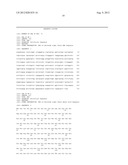 ANTIBODIES SPECIFIC FOR DKK-1 diagram and image