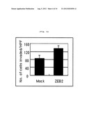 METHOD FOR SCREENING ANTICANCER AGENT OR SIP1/ZEB2 INHIBITOR USING     INTEGRIN ALPHA 5 diagram and image